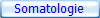 Somatologie
